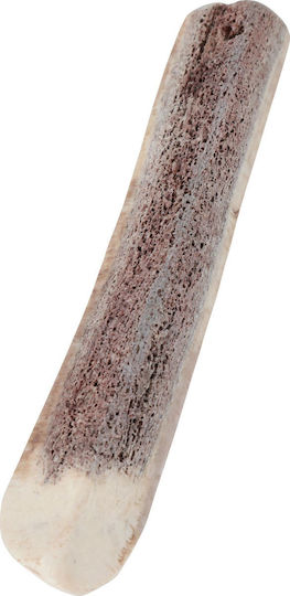 Zolux Knochen Knochenkauen für Welpen Klein