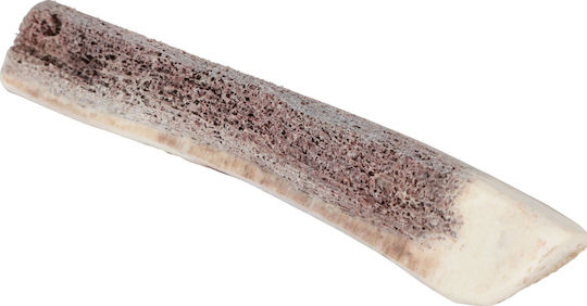 Zolux Knochen Knochenkauen für Welpen Klein