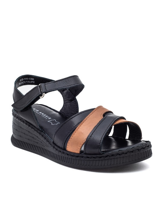 Air Anesis