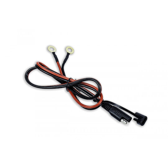 Volt 12v 20a Charger Lithium Batteries