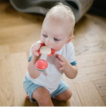 Babyono Μασητική Κουδουνίστρα Οδοντοφυΐας για 3 m+