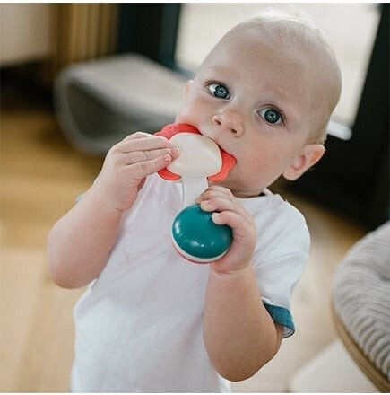 Babyono Μασητική Κουδουνίστρα Οδοντοφυΐας για 3 m+