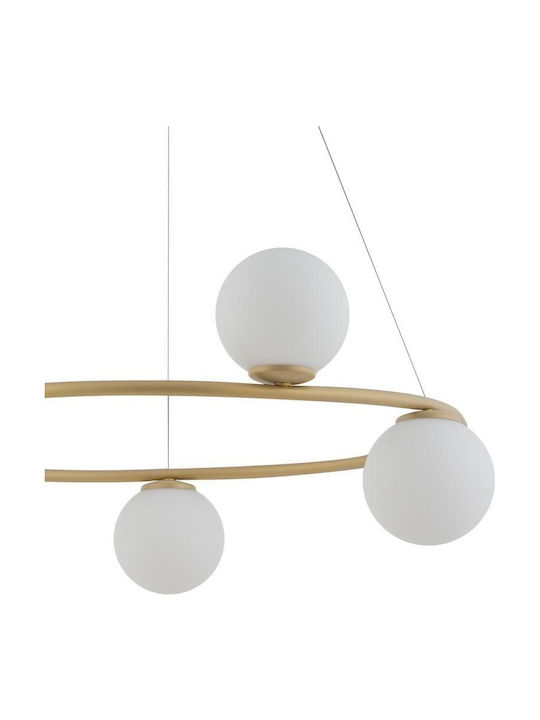 Sigma Hängelampe Gold für 5 Lampen G9 70cm.