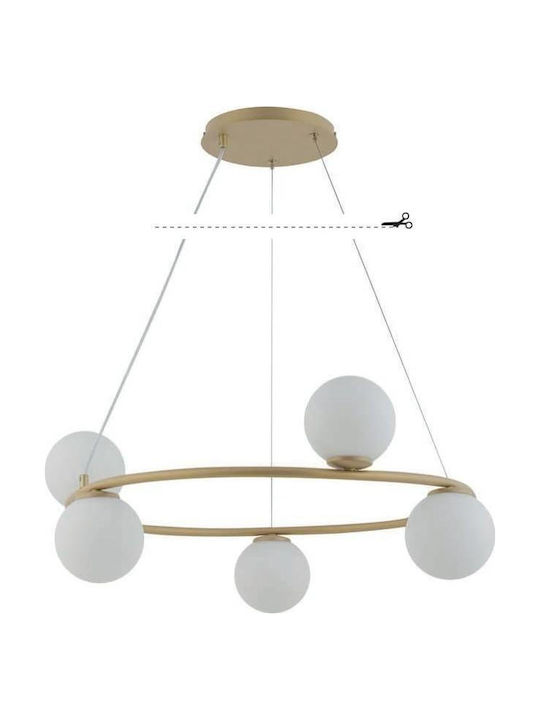 Sigma Hängelampe Gold für 5 Lampen G9 70cm.