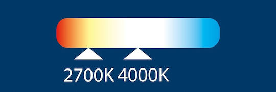 Blaupunkt Λάμπα LED 6W 80mm για Ντουί E14 Θερμό Λευκό