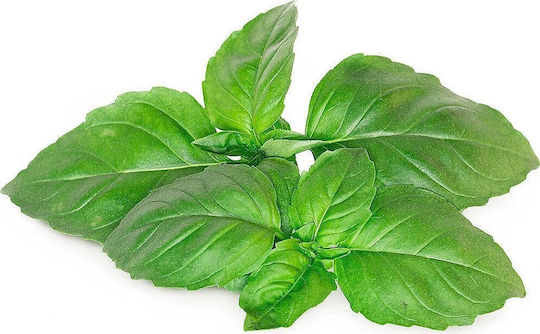 Click & Grow Smart Garden Refill Marseille Basil 3 pcs