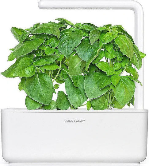 Click & Grow Smart Garden Refill Marseille Basil 3 pcs
