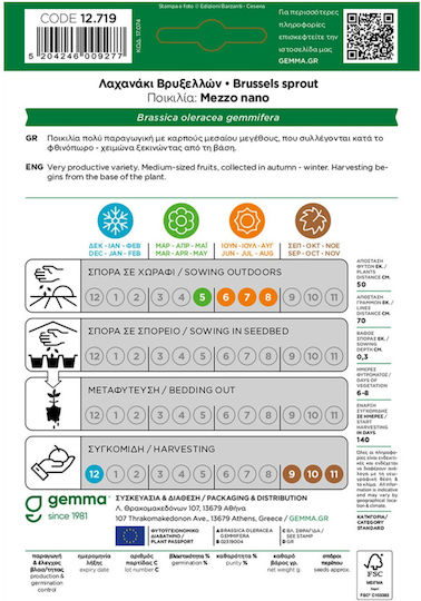 Gemma Samen Kohl Brüssel Grün 1.8gr
