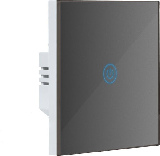Intelligenter Lichtschalter Wifi Einzel Grau Art Oem