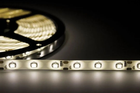 Eco Light Ταινία LED 12V Φυσικό Λευκό Φως 5m Τύπου SMD2835