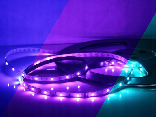 Eco Light Ταινία LED 12V RGB Φως 5m Τύπου SMD5050