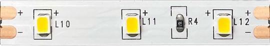 Aca Ταινία LED 12V Φυσικό Λευκό Φως 1m