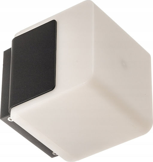 Steinel Wall-Mounted Outdoor Ceiling Light LED IP44 9.1W with Warm White Light 18.5x18.5x18.5εκ.