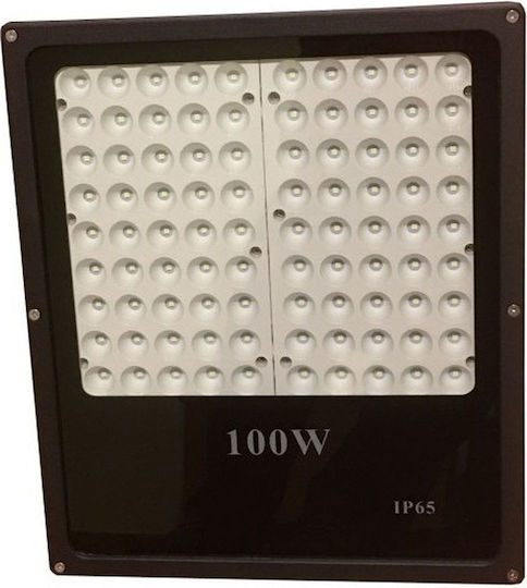 Wasserdicht LED Flutlicht 100W Kaltweiß 6500K IP66