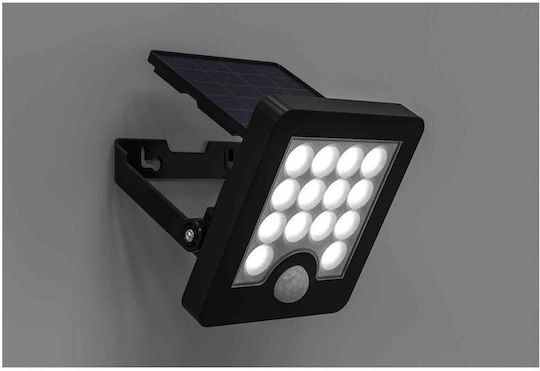 Lucas Στεγανός Ηλιακός Προβολέας LED 4W Ψυχρό Λευκό 5000K με Αισθητήρα Κίνησης IP66