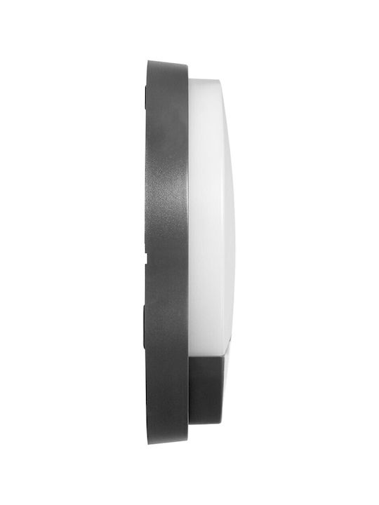 Adviti Επιτοίχιο Εξωτερικό Φωτιστικό LED IP54 15W με Φυσικό Λευκό Φως 21x4.9εκ.