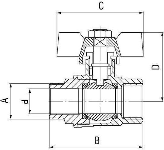 Ferro Βάνα / Διακόπτης 1" Θηλυκό