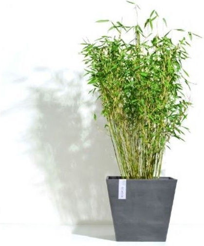 Ecopots Roterdam Pot Plastic White Grey 20x20x17.5cm.