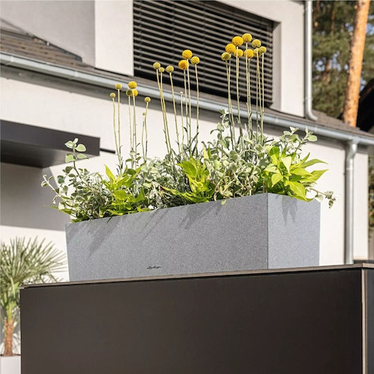 Lechuza Balconera Самополивен Кутия за саксии Пластмаса Бял 100x19x19см.