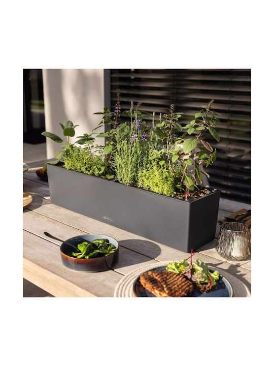 Lechuza Balconera Self-watering Planter Box Plastic Reddish Brown 100x19x19cm.