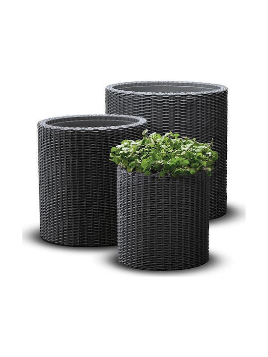 Keter Set 3 Ghivece Plastice Antracit