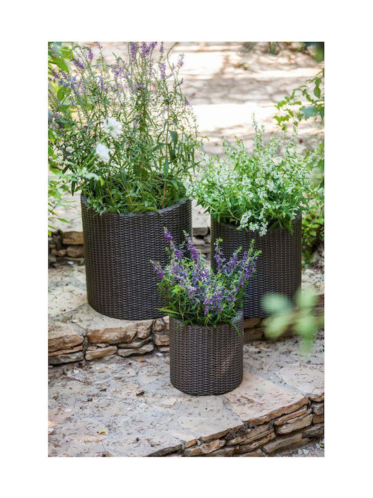 Keter Set 3 Ghivece Plastice Antracit