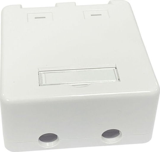 Lanview Surface Mount Box 2x