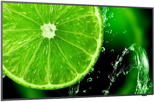 Nec 60006113 Public Display LCD IPS Full HD 32" with USB Media Player