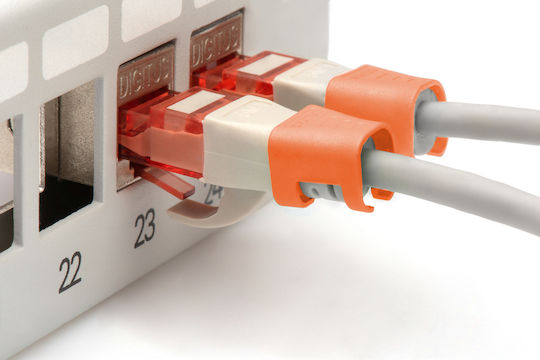 Digitus Digitus Farbclip Patchkabel 100 Stück Orange