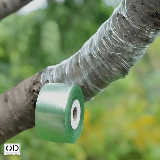 Grafting Tape Fruit Trees Premium Efficiency Material Transparent Size 100m X 2cm Original Deals