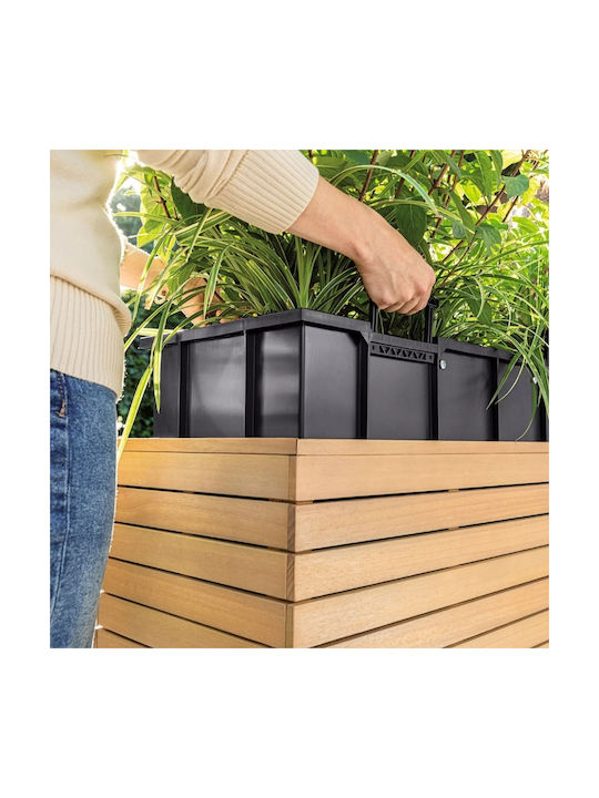 Lechuza Palo Lemn Natural Larg 80 Ghiveci de Podea Jos 79x37x46cm Auto-Udare Recipient Lemn Natural Eucalipt