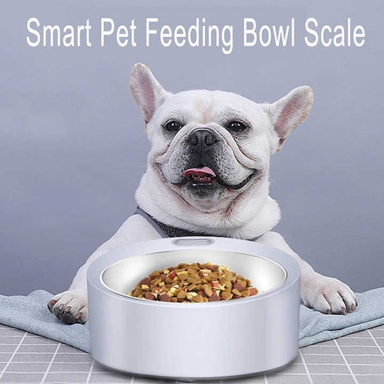 Stainless Steel Food Bowl for Dog & Cat 17cm with Scale