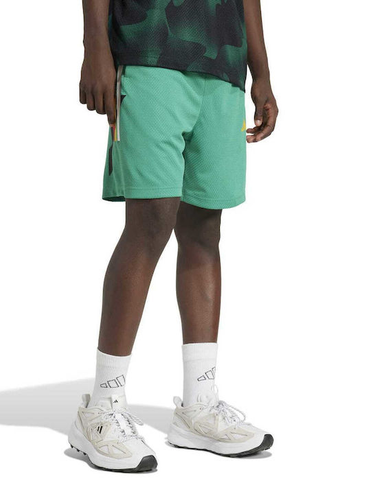 adidas Tiro JC8055 Șort Verde Bărbat Verde