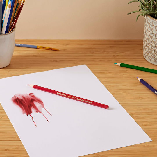 Caran D'ache Set de creioane colorate cu 12 culori