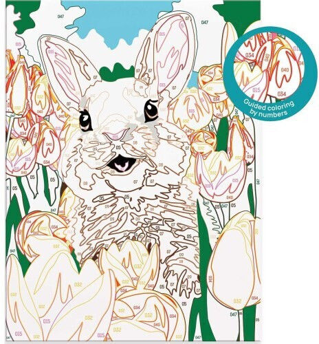 HappiHobbi Ζωγραφική Paint & Frame Paint By Numbers Cheerful Bunny για Παιδιά 8+ Ετών