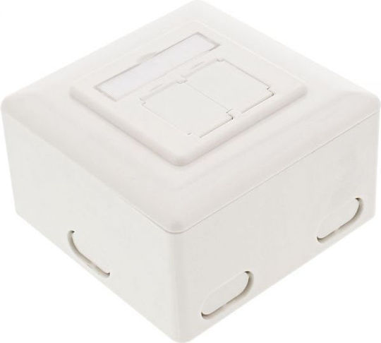 InLine Διπλή Εξωτερική Πρίζα Δικτύου RJ45 Τύπου Cat6 σε Λευκό Χρώμα 75602K