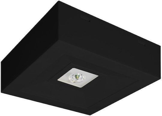 Awex LED Φωτιστικό Ασφαλείας Εξόδου με Τροφοδοσία Μπαταρίας