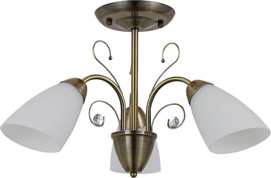 Agora Lighting Ceiling Light