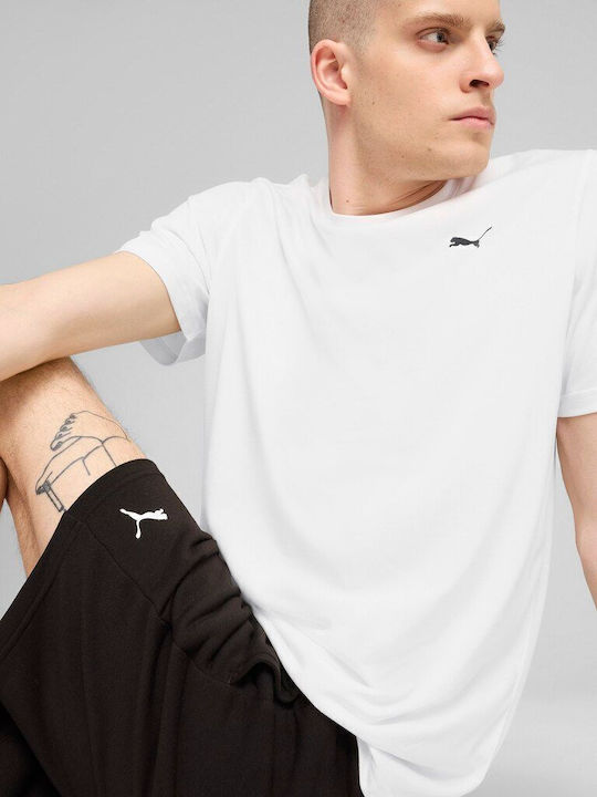Cat T-shirt White