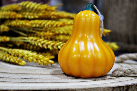 Κολοκύθα Κέρινη Άρωμα Pumpkin Spice Καμπυλωτή 7,8x6,2cm