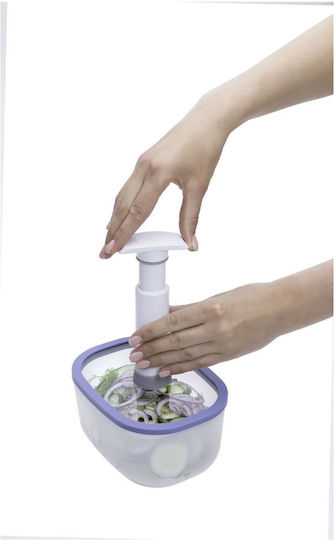 Status Lunchbox Kunststoff Grün 2300ml 1Stück