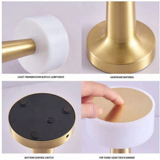 Andowl Decorative Lamp Gold