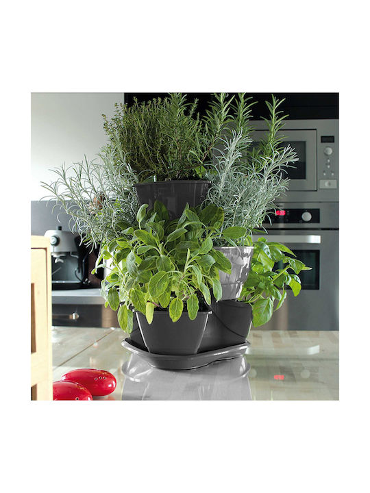 Prosperplast Γλαστράκια Βοτάνων Γλάστρα Πλαστική Anthracite 29.5x29.5x38εκ.