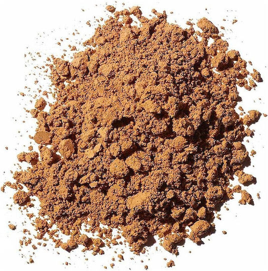 Gewürzladen Ganoderma Pilze Getrocknetes Reishi-Pilzpulver Bio 50g