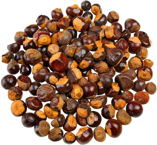 Μπαχαραδικο Γκουαράνα Guarana Καρποί 50gr