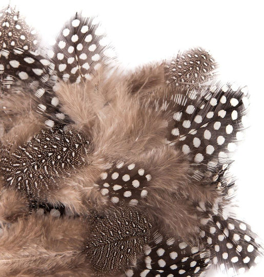 Dalprint Dpcraft Quail Feathers 5-12 Cm 5 G Dalprint