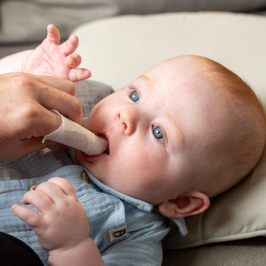 Brush-baby Καταπραϋντικά Βρεφικά Μαντηλάκια Ούλα Χαμομήλι 0-16 Μηνών Brb109