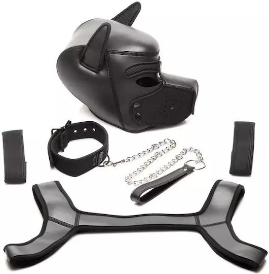 Xr Brands Bdsm Kit
