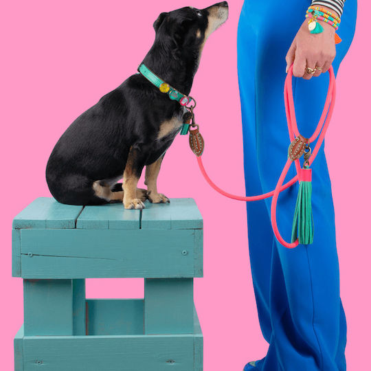 DWAM Hundeleine/Führleine Riemen in Rosa Farbe bis zu 10kg