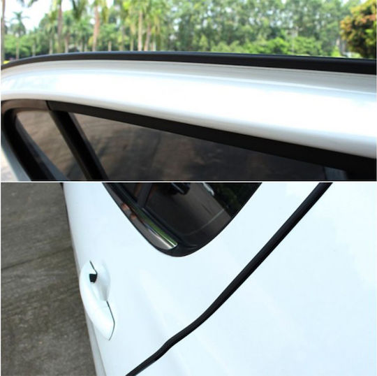 Carsun Protective Film for Car Doors 5.2m x 5.2m 1pcs Black